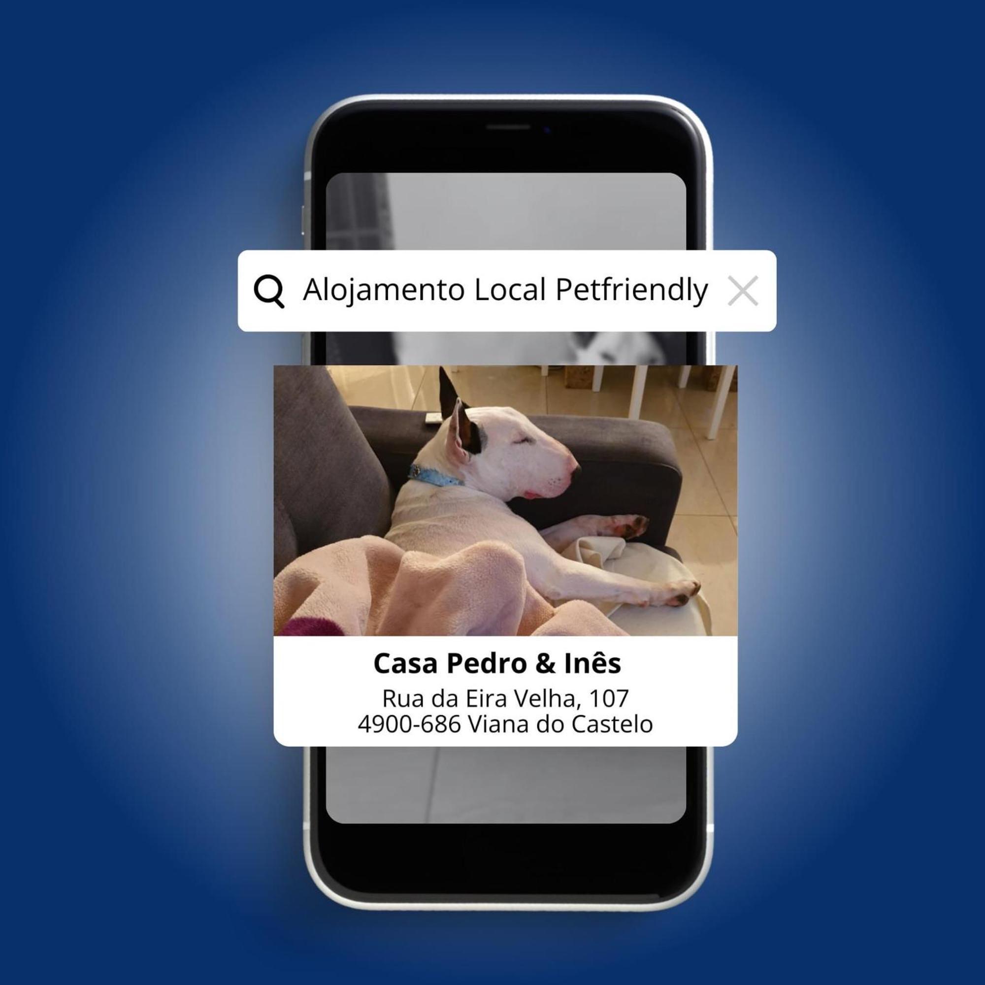 维亚纳堡Casa Pedro E Ines别墅 外观 照片